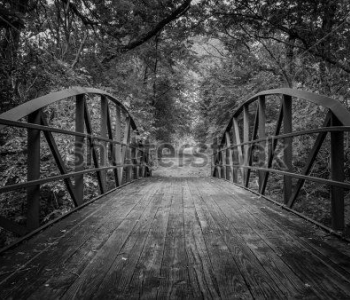 Природа - 547 | Wall-Style