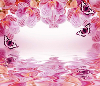 Цветы и растения - 166 | Wall-Style