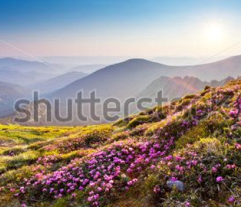 Природа - 62 | Wall-Style