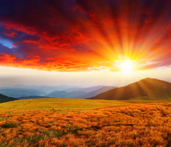 Природа - 3 | Wall-Style