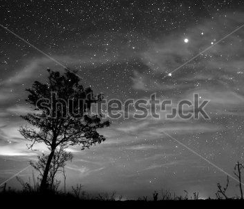 Природа - 536 | Wall-Style