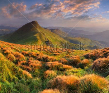 Природа - 46 | Wall-Style