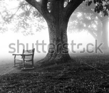 Природа - 489 | Wall-Style