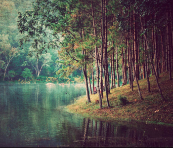 Природа - 837 | Wall-Style