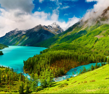 Природа - 162 | Wall-Style