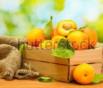 Еда и напитки - 112 | Wall-Style