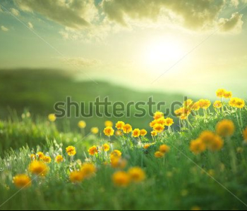 Природа - 33 | Wall-Style