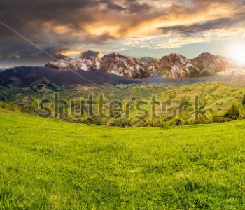 Природа - 63 | Wall-Style