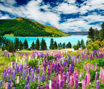 Природа - 14 | Wall-Style