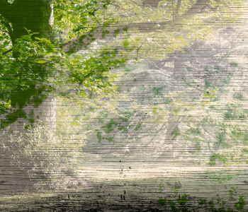 Природа - 51 | Wall-Style