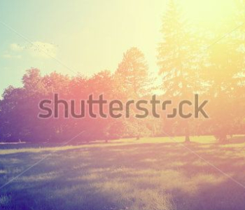 Природа - 550 | Wall-Style