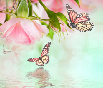 Цветы и растения - 227 | Wall-Style