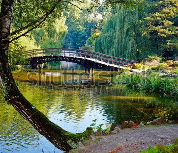 Природа - 718 | Wall-Style