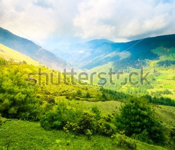 Природа - 771 | Wall-Style