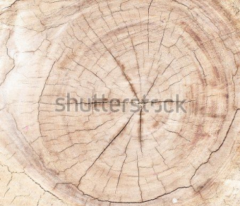 Фоны и текстуры - 20 | Wall-Style